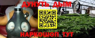 ГАЛЛЮЦИНОГЕННЫЕ ГРИБЫ Беслан