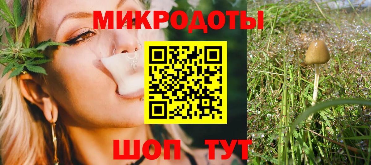 Галлюциногенные грибы прущие грибы  Вход с VPN  Ефремов 